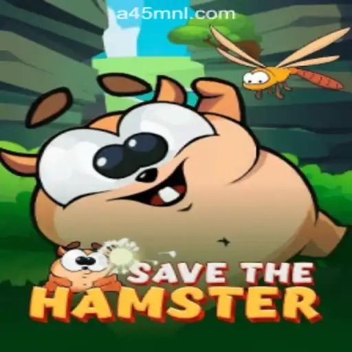 Introducing SavetheHamster: A Captivating Game Experience